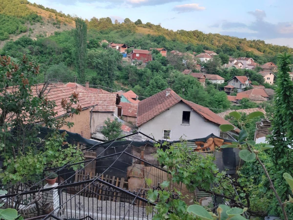 Vila Mir Pirot Exterior foto