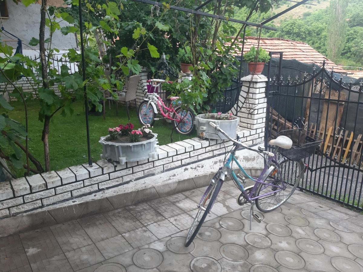 Vila Mir Pirot Exterior foto