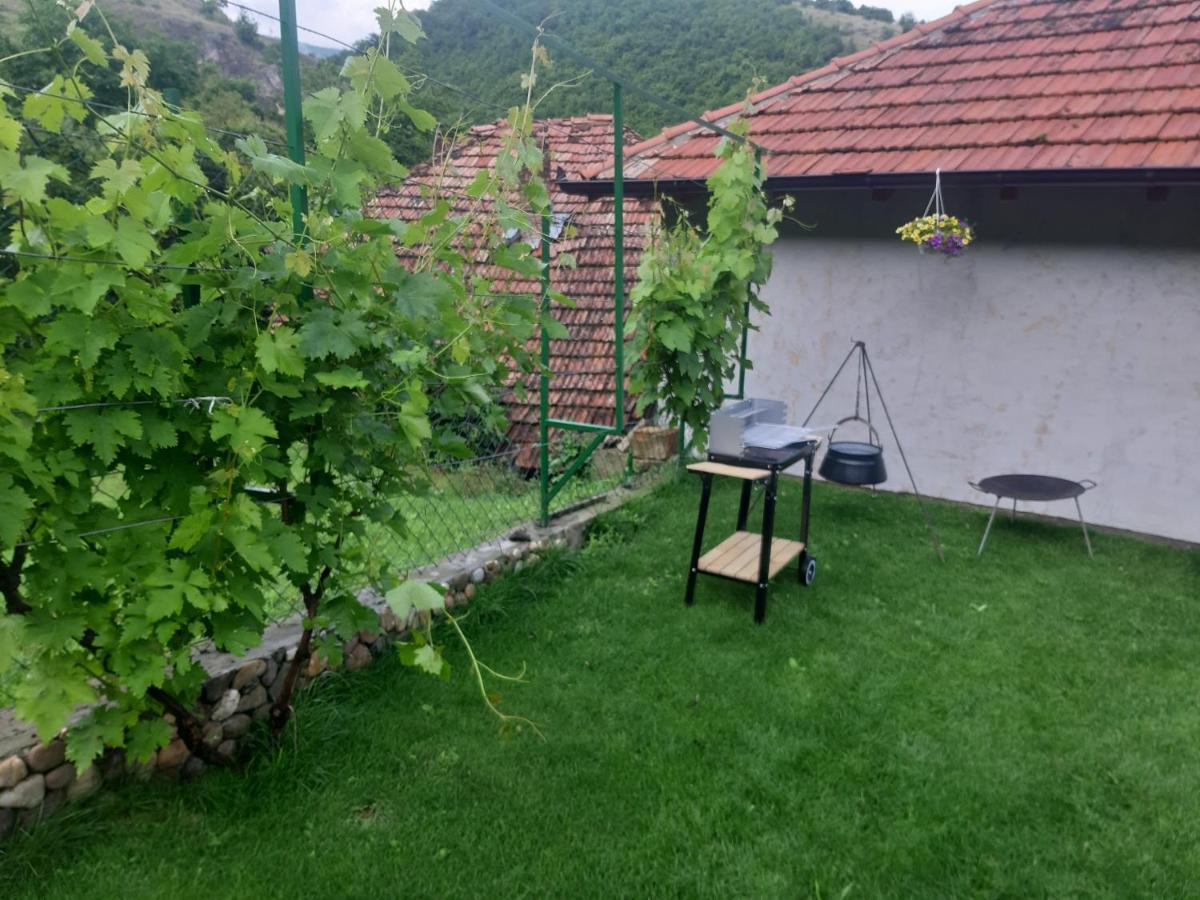 Vila Mir Pirot Exterior foto